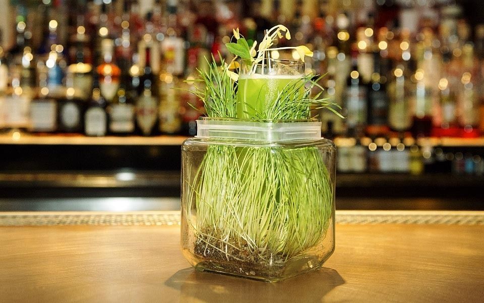 Коктейль Повелитель растений