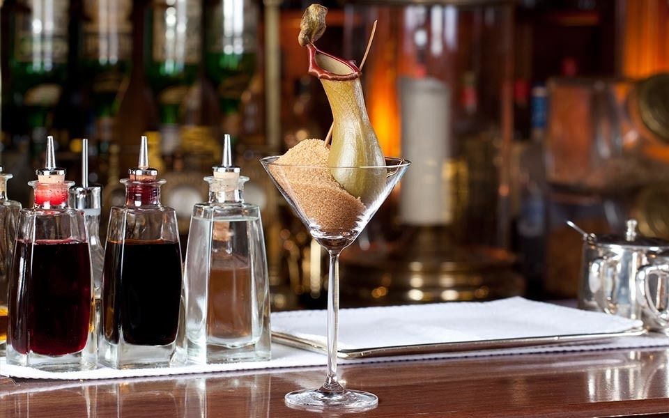 Коктейль Карнивор